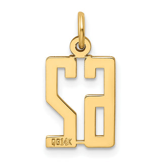 14k Yellow Gold Small Polished Elongated 62 Charm