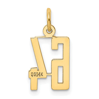 14k Yellow Gold Small Polished Elongated 64 Charm