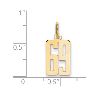 14k Yellow Gold Small Polished Elongated 69 Charm