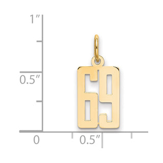 14k Yellow Gold Small Polished Elongated 69 Charm