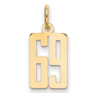 14k Yellow Gold Small Polished Elongated 69 Charm