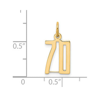 14k Yellow Gold Small Polished Elongated 70 Charm