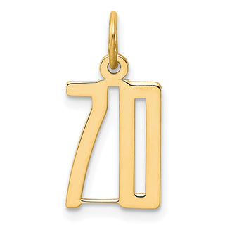 14k Yellow Gold Small Polished Elongated 70 Charm