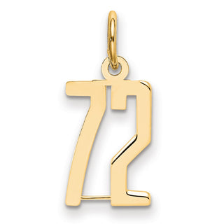 14k Yellow Gold Small Polished Elongated 72 Charm