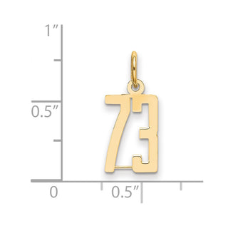 14k Yellow Gold Small Polished Elongated 73 Charm