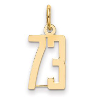 14k Yellow Gold Small Polished Elongated 73 Charm