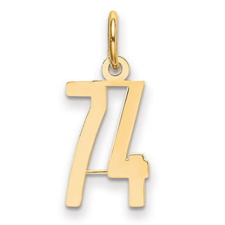 14k Yellow Gold Small Polished Elongated 74 Charm
