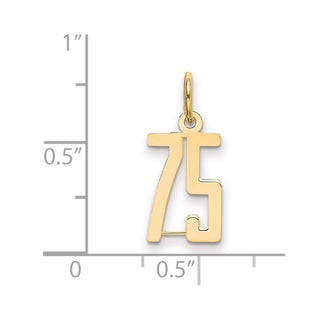 14k Yellow Gold Small Polished Elongated 75 Charm