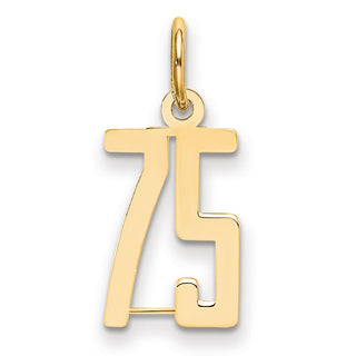 14k Yellow Gold Small Polished Elongated 75 Charm