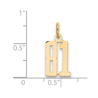 14k Yellow Gold Small Polished Elongated 81 Charm