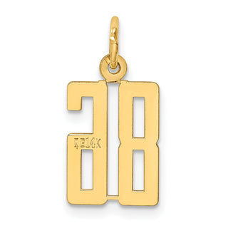 14k Yellow Gold Small Polished Elongated 86 Charm