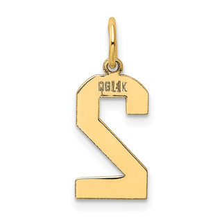 14k Yellow Gold Medium Polished Number 2 Charm