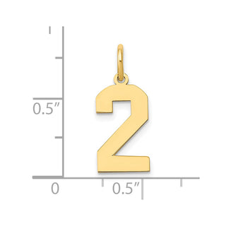 14k Yellow Gold Medium Polished Number 2 Charm