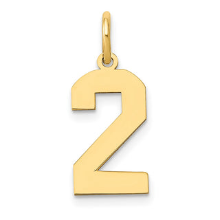 14k Yellow Gold Medium Polished Number 2 Charm