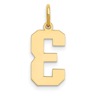 14k Yellow Gold Medium Polished Number 3 Charm