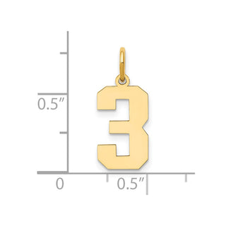 14k Yellow Gold Medium Polished Number 3 Charm