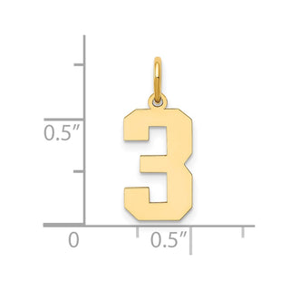 14k Yellow Gold Medium Polished Number 3 Charm