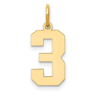 14k Yellow Gold Medium Polished Number 3 Charm