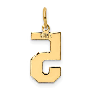 14k Yellow Gold Medium Polished Number 5 Charm