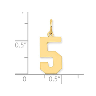 14k Yellow Gold Medium Polished Number 5 Charm