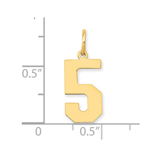 14k Yellow Gold Medium Polished Number 5 Charm