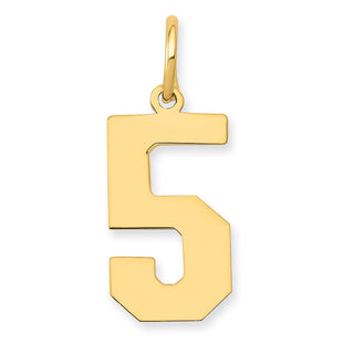 14k Yellow Gold Medium Polished Number 5 Charm