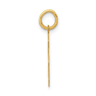 14k Yellow Gold Medium Polished Number 6 Charm