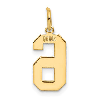 14k Yellow Gold Medium Polished Number 6 Charm