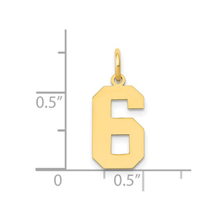 14k Yellow Gold Medium Polished Number 6 Charm