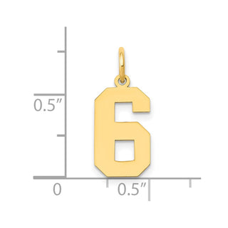 14k Yellow Gold Medium Polished Number 6 Charm