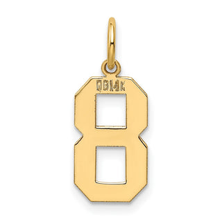 14k Yellow Gold Medium Polished Number 8 Charm