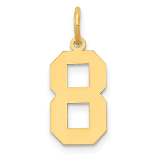 14k Yellow Gold Medium Polished Number 8 Charm