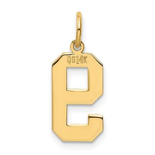 14k Yellow Gold Medium Polished Number 9 Charm