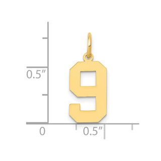 14k Yellow Gold Medium Polished Number 9 Charm