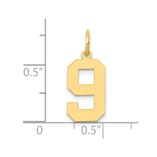 14k Yellow Gold Medium Polished Number 9 Charm