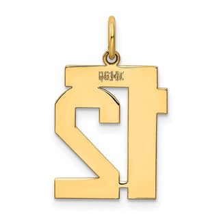 14k Yellow Gold Medium Polished Number 12 Charm LM12