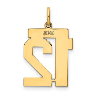 14k Yellow Gold Medium Polished Number 12 Charm LM12