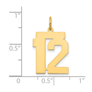 14k Yellow Gold Medium Polished Number 12 Charm LM12