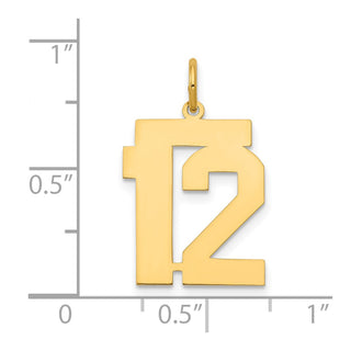 14k Yellow Gold Medium Polished Number 12 Charm LM12