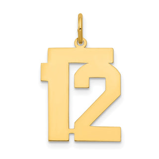 14k Yellow Gold Medium Polished Number 12 Charm LM12