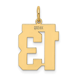14k Yellow Gold Medium Polished Number 13 Charm LM13