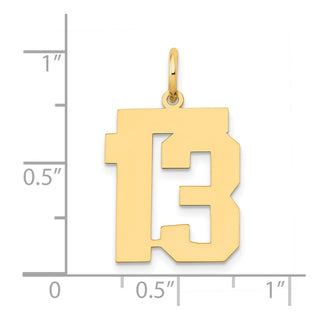 14k Yellow Gold Medium Polished Number 13 Charm LM13