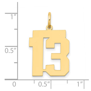 14k Yellow Gold Medium Polished Number 13 Charm LM13