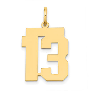 14k Yellow Gold Medium Polished Number 13 Charm LM13
