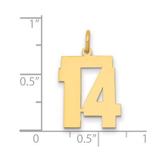 14k Yellow Gold Medium Polished Number 14 Charm LM14