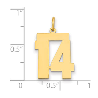 14k Yellow Gold Medium Polished Number 14 Charm LM14