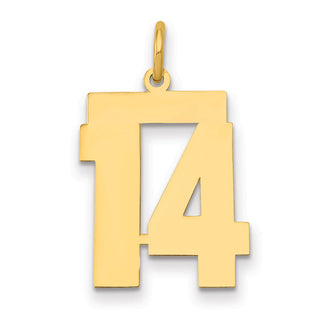 14k Yellow Gold Medium Polished Number 14 Charm LM14