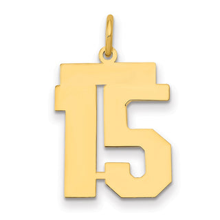14k Yellow Gold Medium Polished Number 15 Charm LM15
