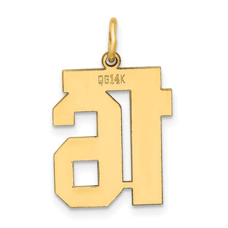 14k Yellow Gold Medium Polished Number 16 Charm LM16