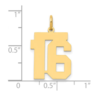 14k Yellow Gold Medium Polished Number 16 Charm LM16